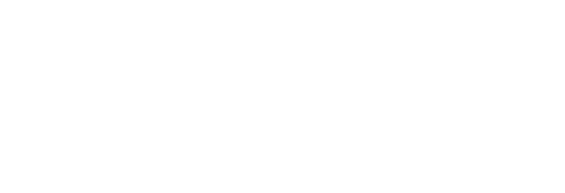 Ingenious Buddy FMCG AI Studio